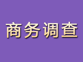 西市商务调查